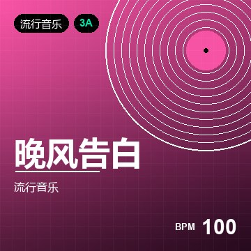 DJ 火柴 精选集