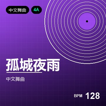 孤城夜雨（DJ 版）