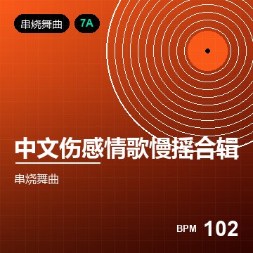 中文伤感情歌慢摇合辑