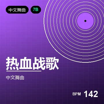 DJ 老张 精选集